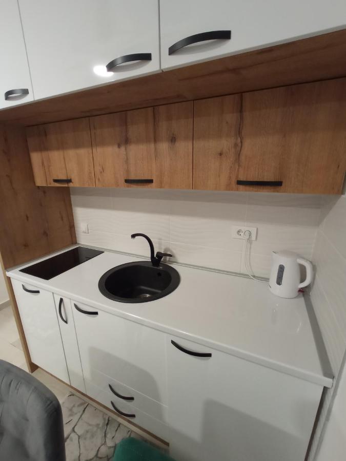 Apartman Zlatibor Philautia エクステリア 写真