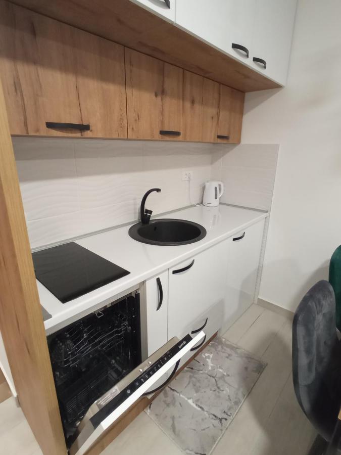 Apartman Zlatibor Philautia エクステリア 写真